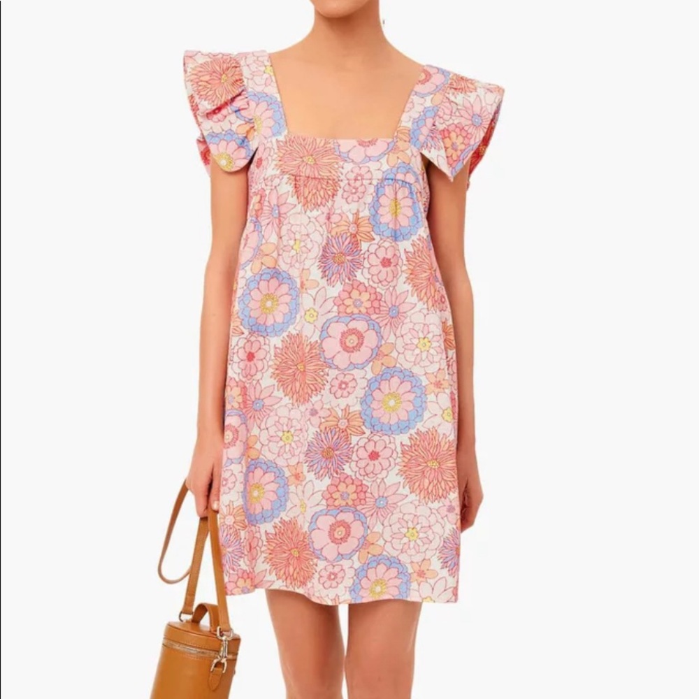 Cameran Eubanks x Tuckernuck Folly Floral Hazel Flutter Sleeve Dress.